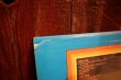 画像7: ct-250405-04 Michigan J. Frog / LEON REDBONE 1975 LP Record