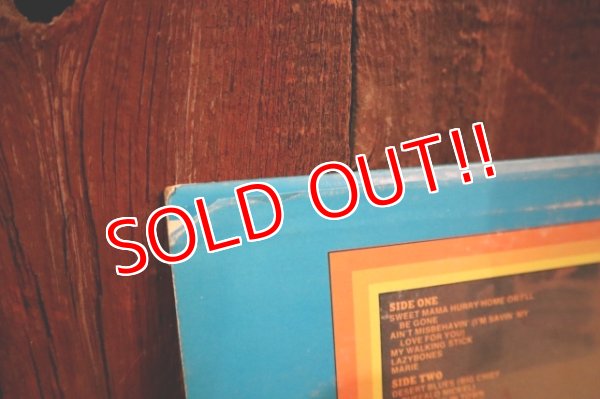 画像7: ct-250405-04 Michigan J. Frog / LEON REDBONE 1975 LP Record