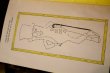 画像7: ct-250404-07 PLANTERS / 1970 MR.PENUT'S GUIDE TO NUTRITION