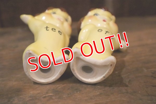 画像8: ct-250405-07 Tasty Freeze 1960's tee & eff  Salt & Pepper Shaker