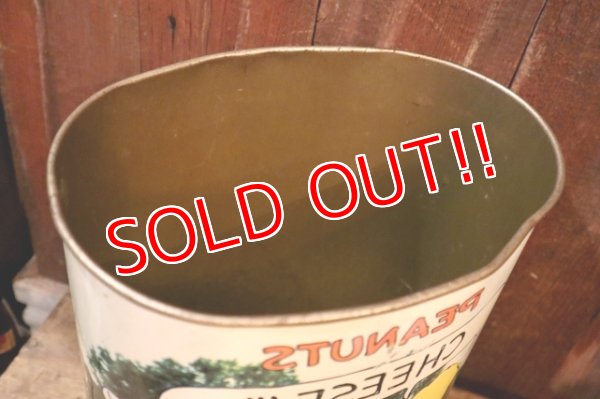 画像11: ct-250205-77 PEANUTS / CHEINCO 1960's-1970's Trash Can