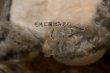 画像9: ct-250618-06 BIG AL / 1970's Plush Doll