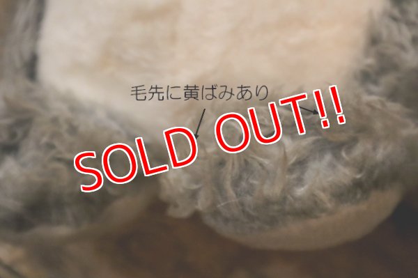 画像9: ct-250618-06 BIG AL / 1970's Plush Doll