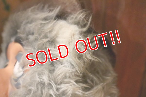 画像6: ct-250618-06 BIG AL / 1970's Plush Doll