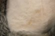 画像8: ct-250618-06 BIG AL / 1970's Plush Doll
