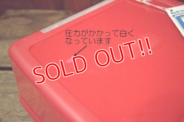 画像8: ct-250618-07 JURASSIC PARRK / THERMOS 1993 Plastic Lunch Box