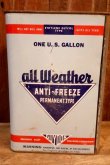 画像2: dp-250618-28 GUYDON / all weather ANTI-FREEZE 1 U.S. GALLON CAN