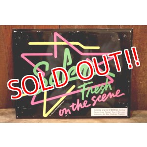 画像: dp-250618-48 Salem 1989 Metal Sign