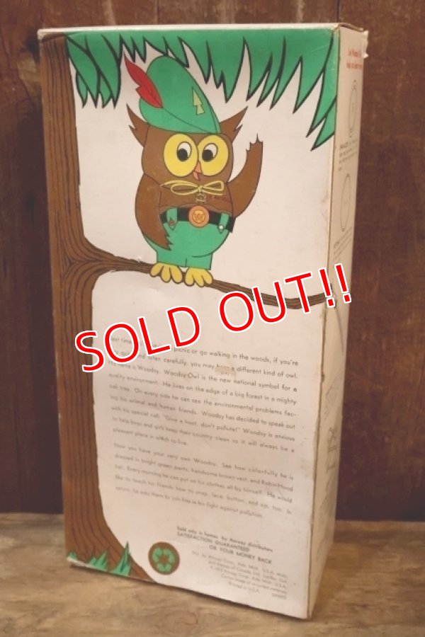画像12: ct-250801-07 Woodsy Owl / Amway 1970's Teach 'N' Play Pre-School Toy