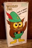 画像11: ct-250801-07 Woodsy Owl / Amway 1970's Teach 'N' Play Pre-School Toy