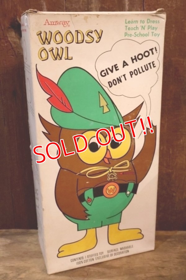 画像11: ct-250801-07 Woodsy Owl / Amway 1970's Teach 'N' Play Pre-School Toy