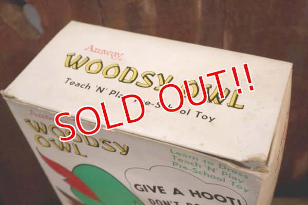画像13: ct-250801-07 Woodsy Owl / Amway 1970's Teach 'N' Play Pre-School Toy