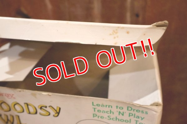 画像16: ct-250801-07 Woodsy Owl / Amway 1970's Teach 'N' Play Pre-School Toy