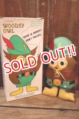 画像: ct-250801-07 Woodsy Owl / Amway 1970's Teach 'N' Play Pre-School Toy