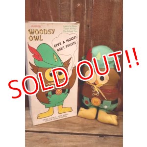 画像: ct-250801-07 Woodsy Owl / Amway 1970's Teach 'N' Play Pre-School Toy