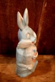 画像5: ct-250802-09 Bugs Bunny / COLGATE 1960's Soaky Bottle Cover