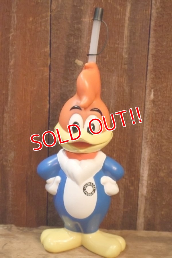 画像1: ct-250701-07 WOODY WOODPECKER 1996 UNIVERSAL STUDIOS DRINK BOTTLE