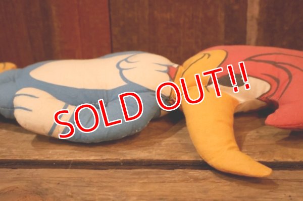 画像6: ct-250802-19 WOODY WOODPECKER 1970's PILLOW DOLL