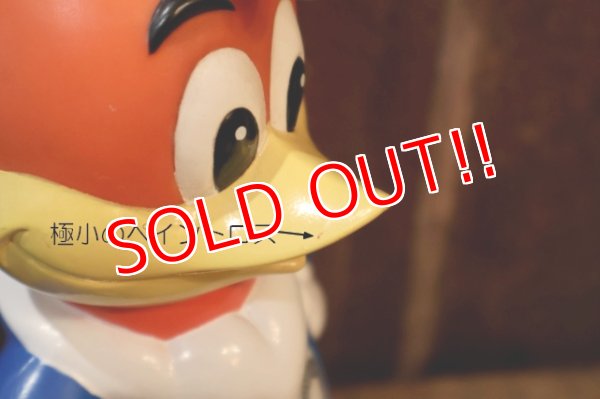 画像5: ct-250701-07 WOODY WOODPECKER 1996 UNIVERSAL STUDIOS DRINK BOTTLE