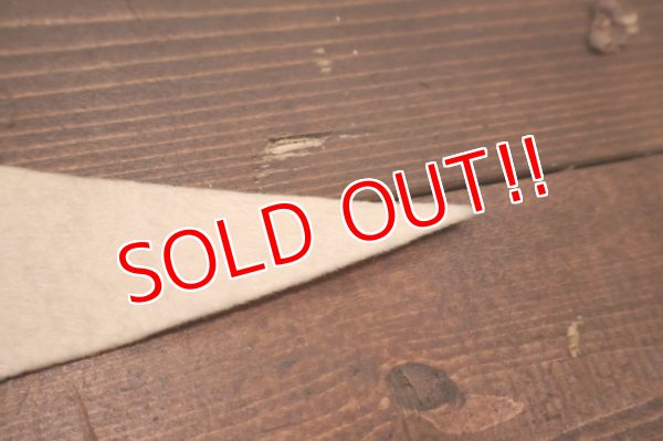 画像5: dp-250728-01 Michigan State University / Michigan State Spartans 1974 Pennant