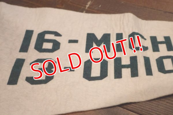 画像3: dp-250728-01 Michigan State University / Michigan State Spartans 1974 Pennant