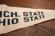 画像4: dp-250728-01 Michigan State University / Michigan State Spartans 1974 Pennant