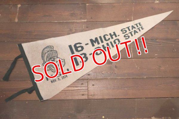画像1: dp-250728-01 Michigan State University / Michigan State Spartans 1974 Pennant