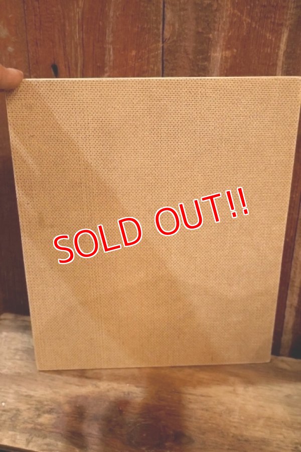 画像7: ct-250802-30 Big Bird & Little Bird / Playskool 1970's Wood Frame Tray Puzzle