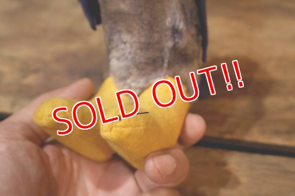 画像12: ct-250908-01 The University of Kansas "Jayhawks" / Collegiate 1960's Mascot Doll