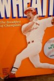 画像2: dp-250618-37 General Mills / WHEATIES 1998 "MARK MCGWIRE 70 HOME RUNS"
