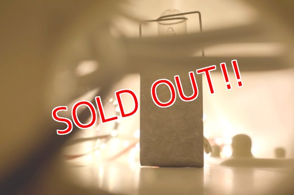 画像12: dp-250930-02 PAPA JOHN'S PIZZA / 1990's Delivery Car Sign