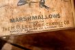 画像7: dp-251008-04 THE H.D. LEE MERCANTILE CO. SUMMER GIRL BRAND MARSHMALLOWS CAN