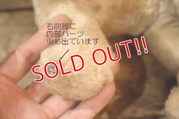 画像11: ct-251105-09 Lady and the Tramp / GUND 1950's Rubber Face Doll