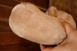 画像8: ct-251105-66 E.T. / KAMAR 1982 Plush Doll