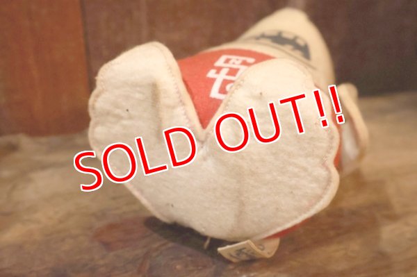 画像7: ct-250908-01 Collegiate 1950's-1960's College Mascot Doll "SUNC"