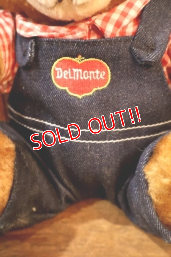 画像3: ct-251105-08 Delmonte / Country Yumkin Brawny Bear 1985 Plush Doll