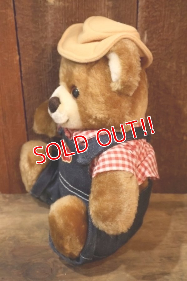 画像4: ct-251105-08 Delmonte / Country Yumkin Brawny Bear 1985 Plush Doll