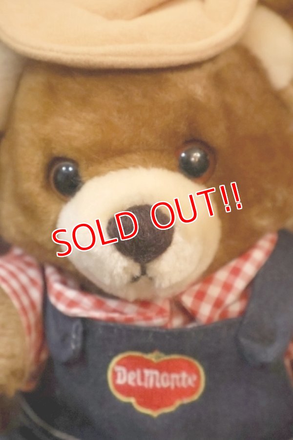 画像2: ct-251105-08 Delmonte / Country Yumkin Brawny Bear 1985 Plush Doll
