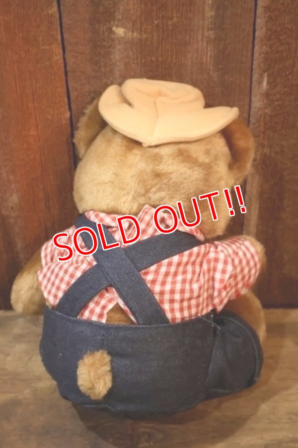 画像6: ct-251105-08 Delmonte / Country Yumkin Brawny Bear 1985 Plush Doll