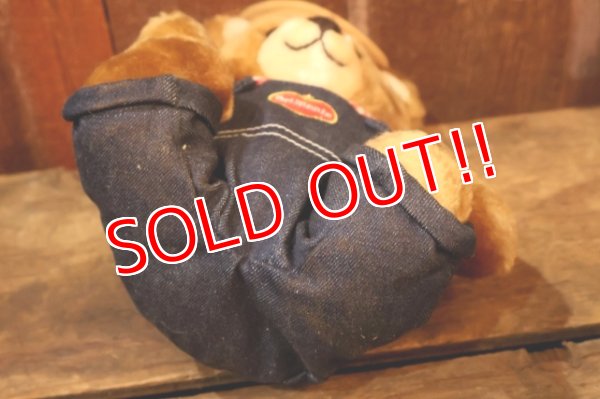 画像7: ct-251105-08 Delmonte / Country Yumkin Brawny Bear 1985 Plush Doll