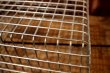 画像11: dp-240611-21 FRANK D. COHAN, INC. 1950's-1960's Wire Basket 