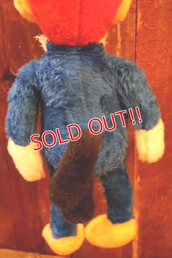 画像6: ct-251201-55 Woody Woodpecker 1980's Plush Doll