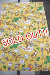 画像: ct-251201-30 Road Runner & Wile E. Coyote / 1970's Flat Sheet (Twin Size)