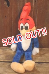 画像: ct-251201-55 Woody Woodpecker 1980's Plush Doll