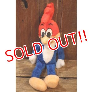 画像: ct-251201-55 Woody Woodpecker 1980's Plush Doll