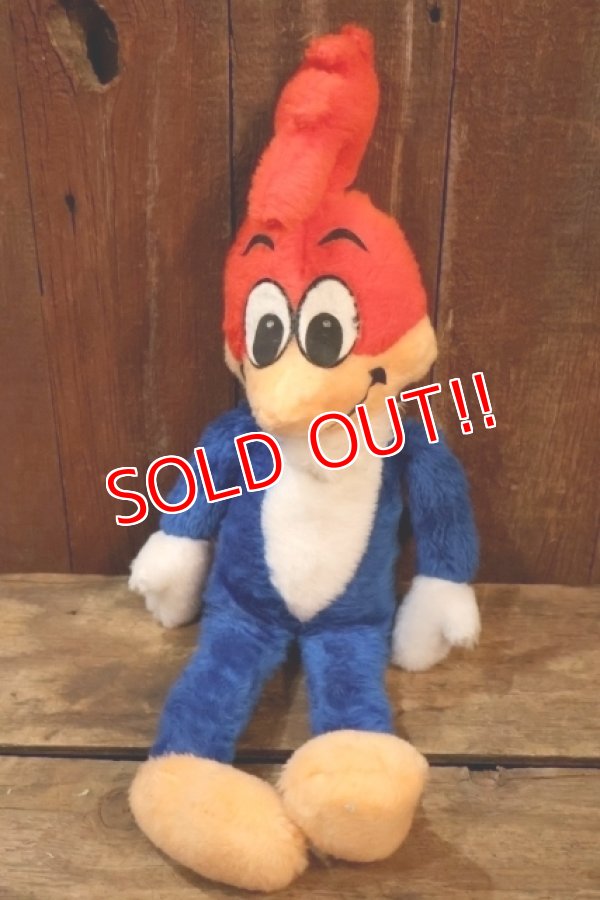 画像1: ct-251201-55 Woody Woodpecker 1980's Plush Doll
