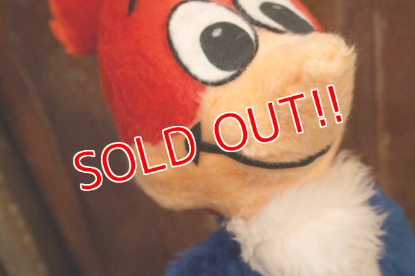 画像3: ct-251201-55 Woody Woodpecker 1980's Plush Doll