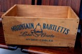 画像: dp-241106-03 MOUNTAIN BARTLETTS / BLAZING STAR WOOD BOX