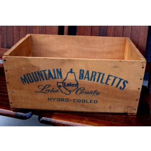 画像: dp-241106-03 MOUNTAIN BARTLETTS / BLAZING STAR WOOD BOX
