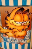 画像2: ct-260106-30 Garfield / CHEINCO 1978 TRASH CAN